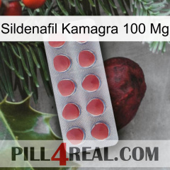 Sildenafil Kamagra 100Mg 18